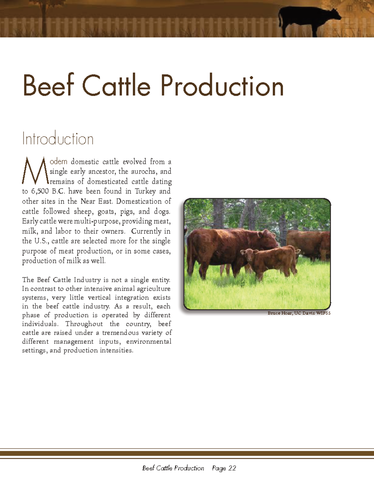 Beef Cattle Production Overview: History, Terminology, and Systems ...