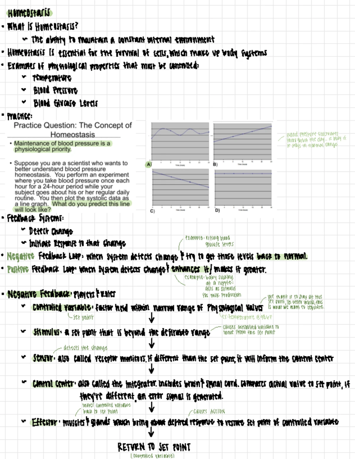 Physiology Unit 1 Lecture Notes and Key Concepts - Studocu
