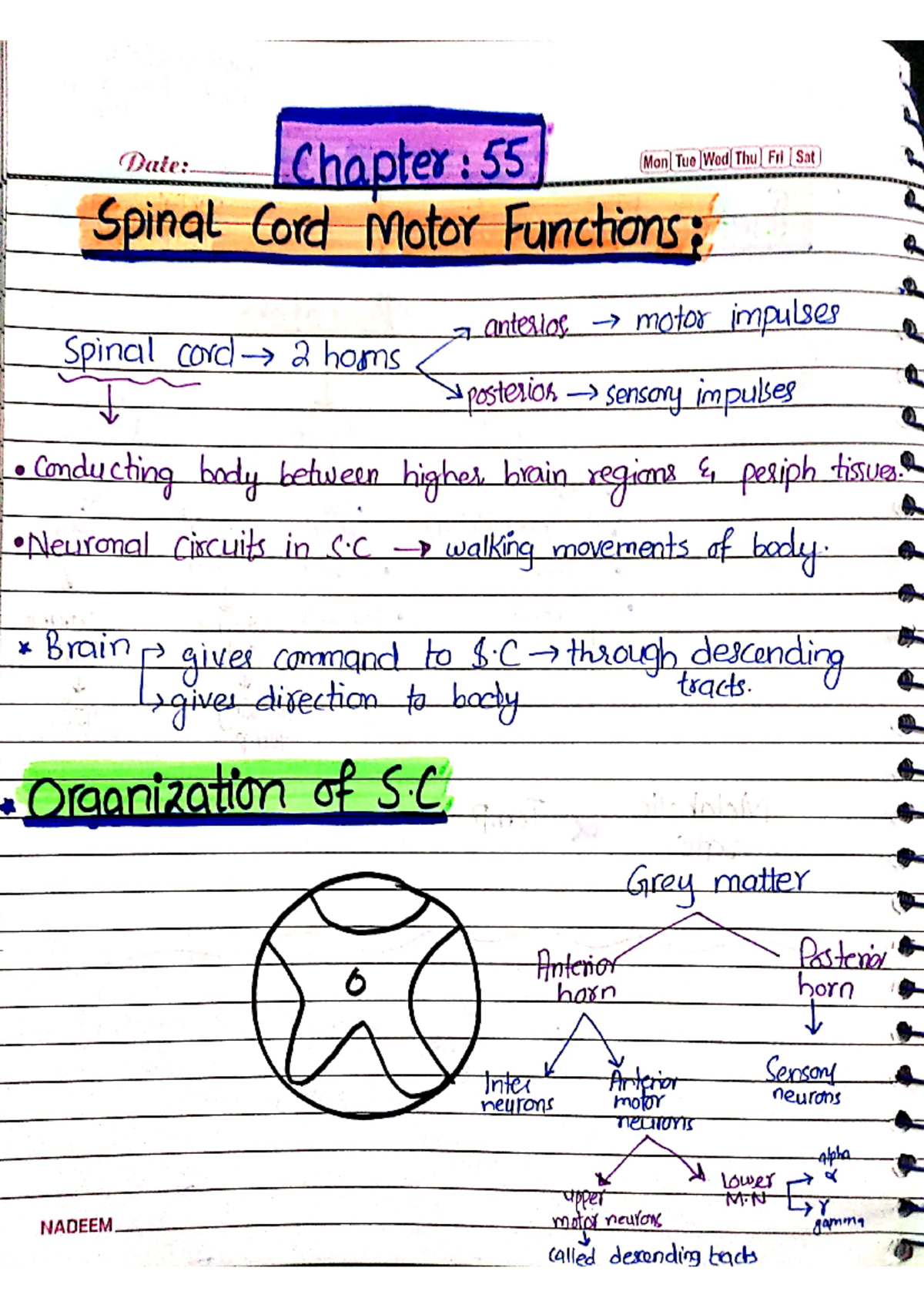 Chap 56, guyton and hall chapter 57 - Date: Chapter 55 Mon Tue Wed Thu ...