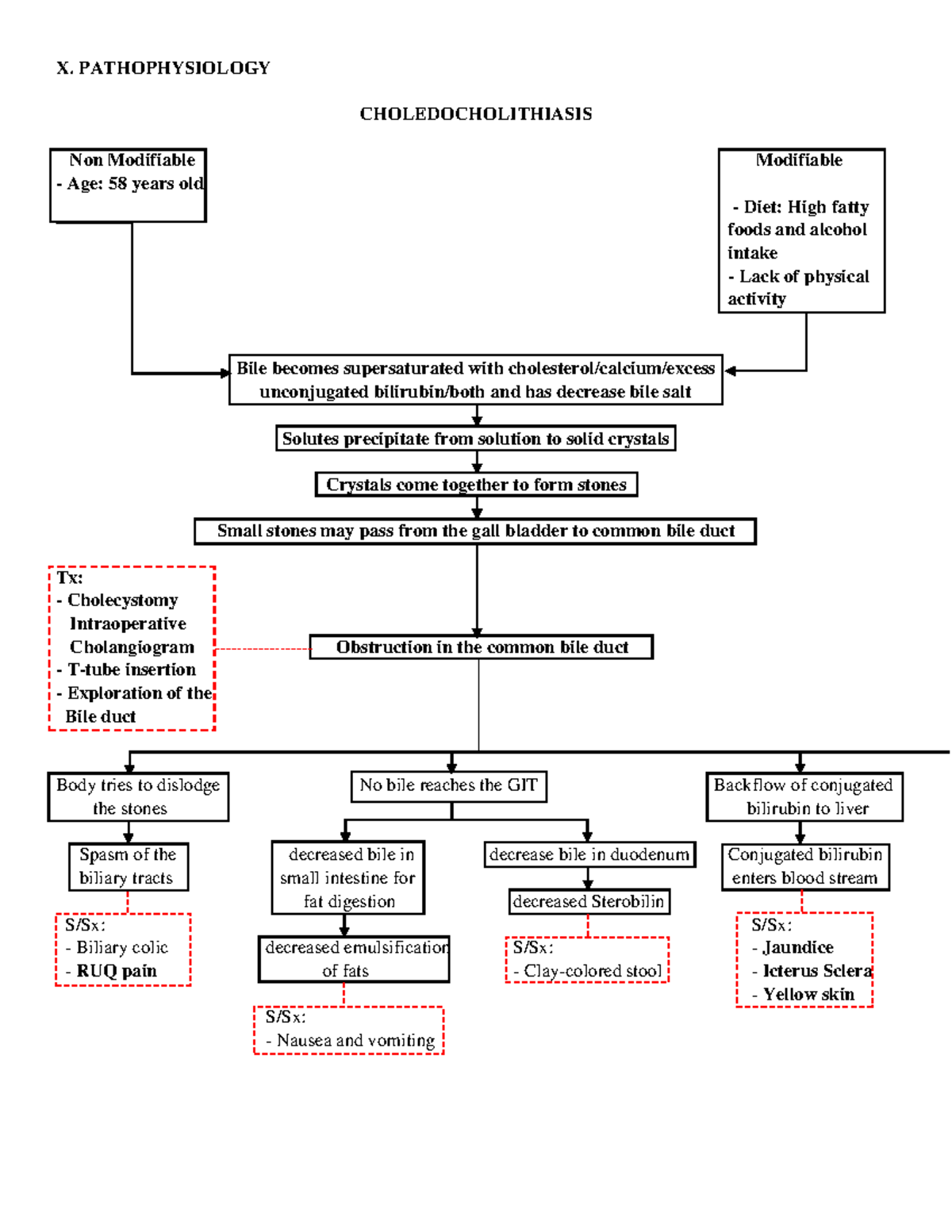 354472086 - Pathophysiology of Choledocholithiasis: Key Factors and ...