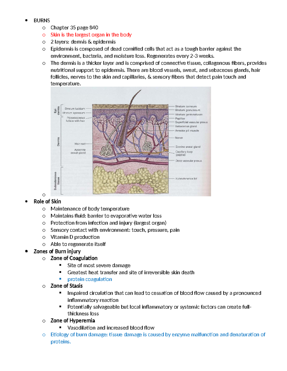 BURNS o Chapter 35: Comprehensive Overview of Skin and Burn Injuries ...