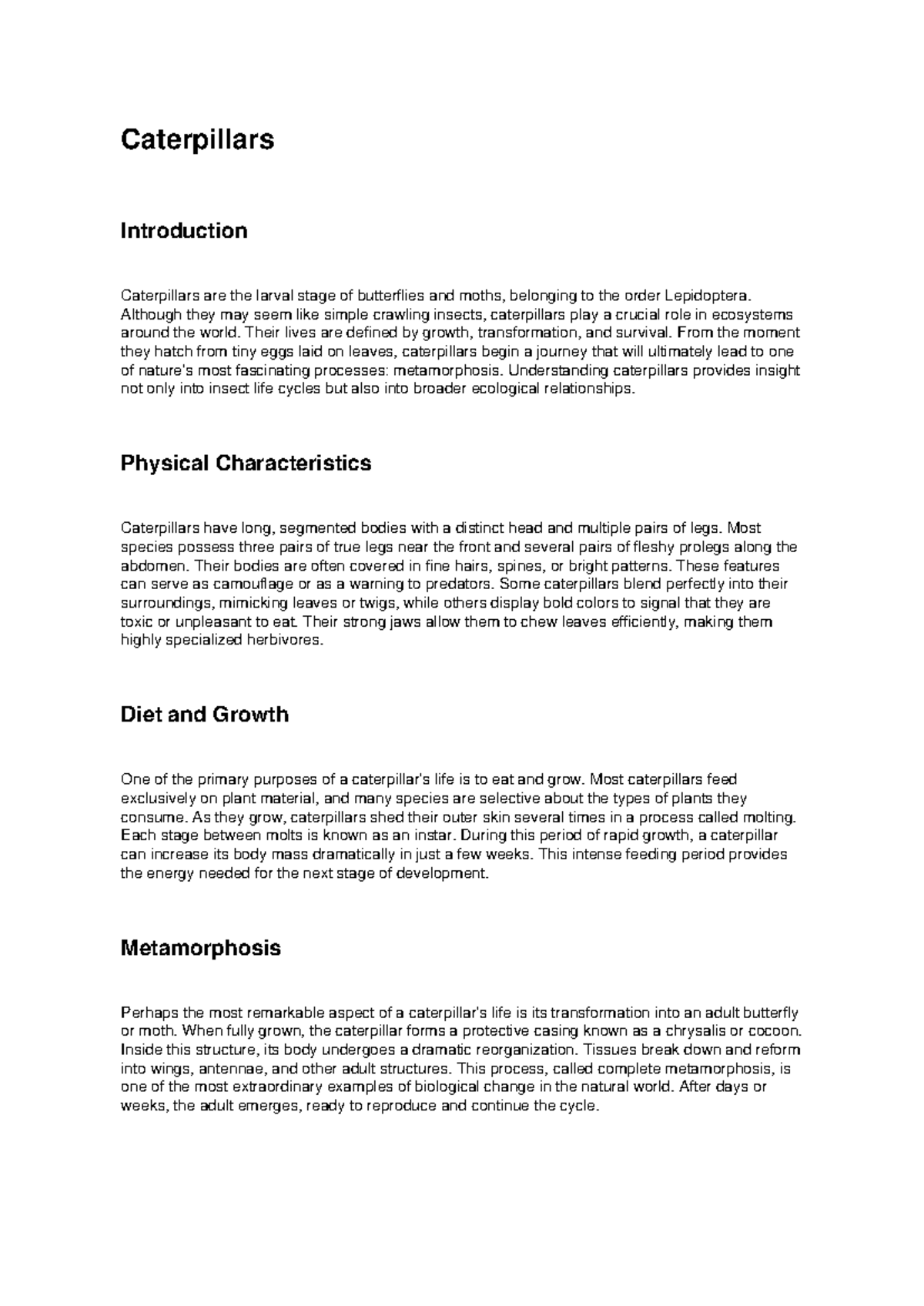 Caterpillars: An Insight into Their Life Cycle and Metamorphosis Essay ...