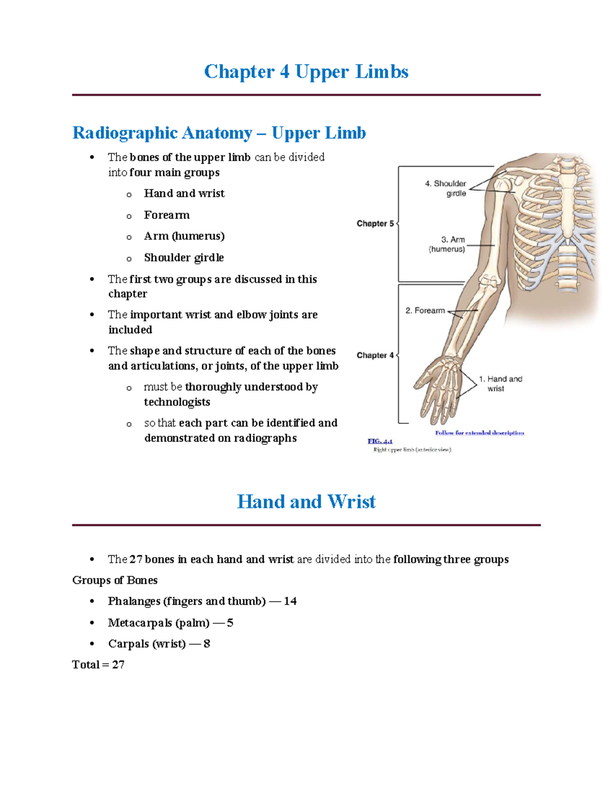 Chapter 4: Upper Limbs Radiographic Anatomy Notes - Studocu
