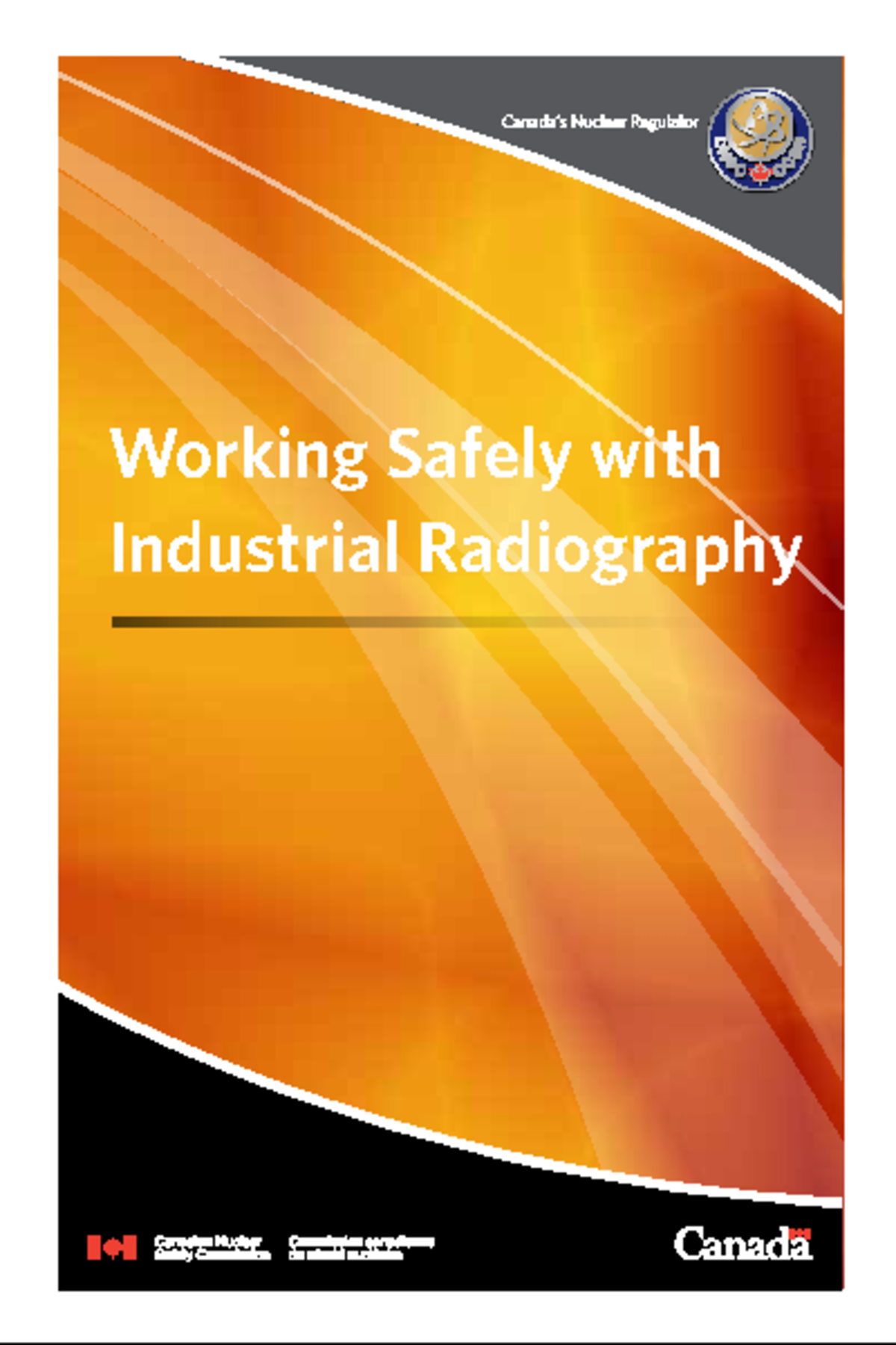 CNSC Guidelines: Safe Practices in Industrial Radiography - Studocu