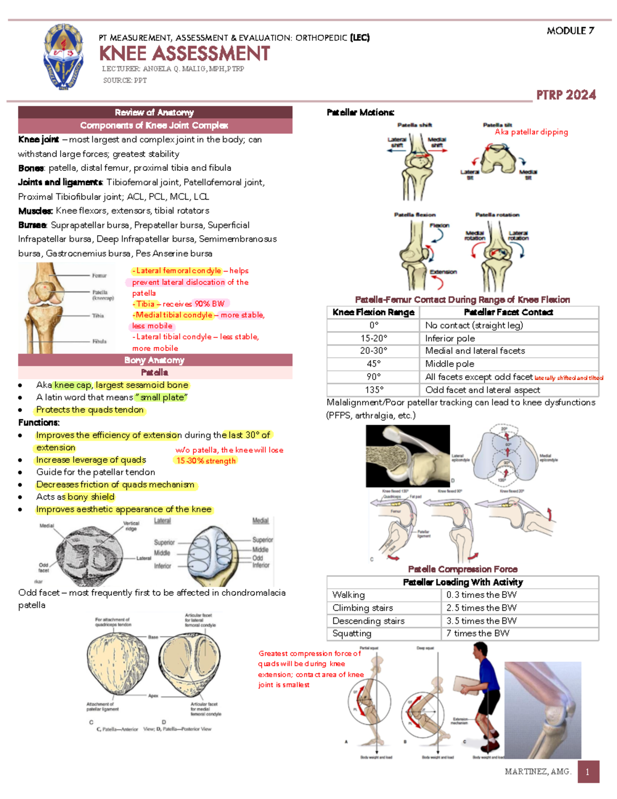 PT3A LEC - Module 7: Comprehensive Knee Assessment Overview - Studocu