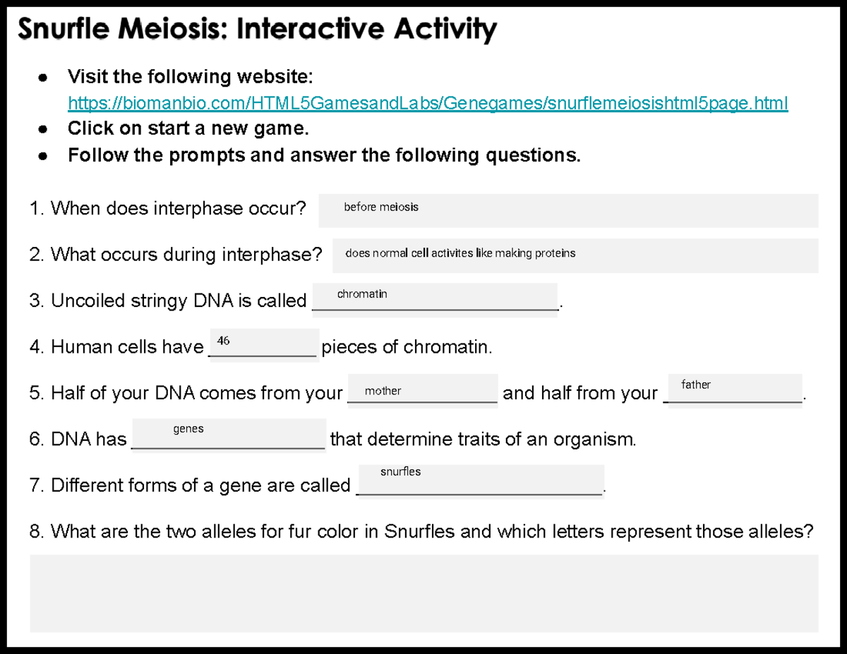 Kami Export - Jacob Conaway - Kami Export - Snurfle Meiosis-Interactive ...