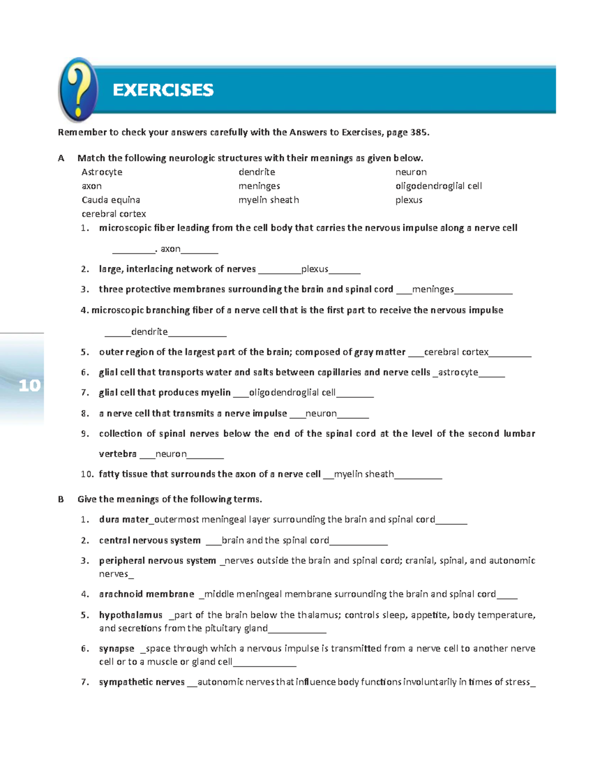 Chapter 10: Nervous System Overview and Key Terms (MED 101) - Studocu
