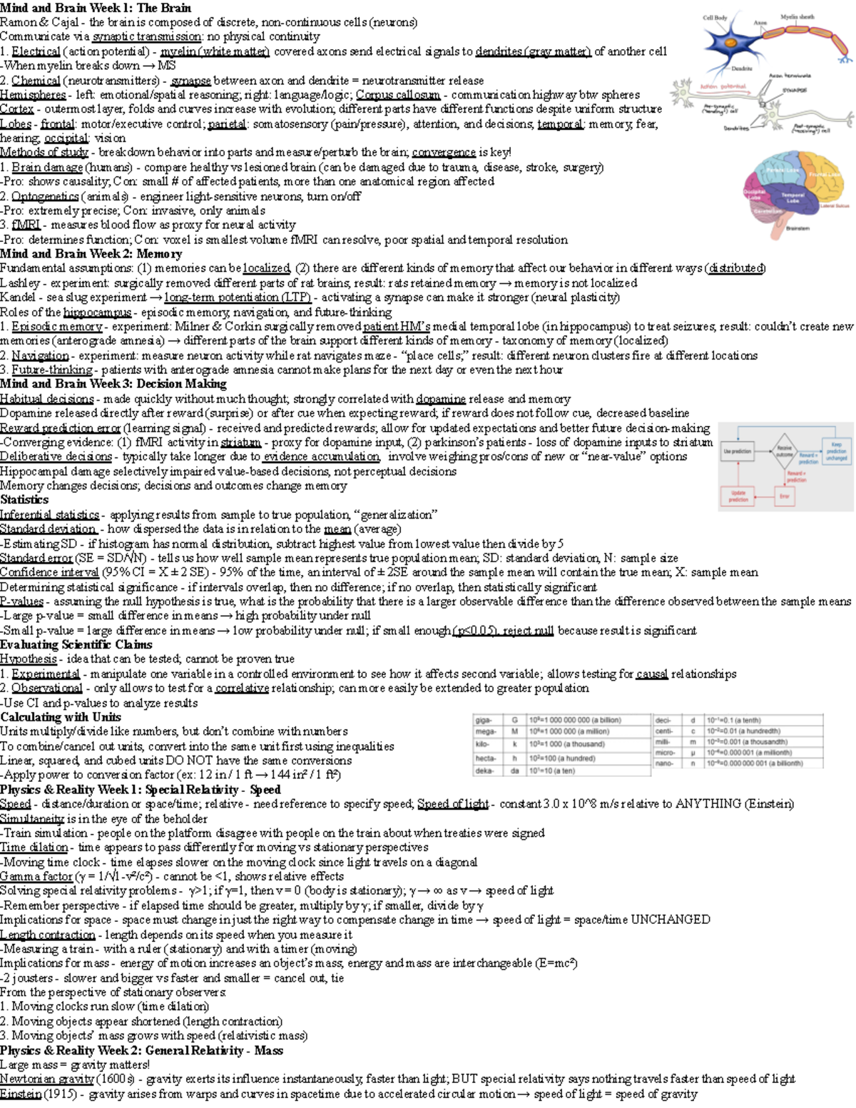 Frosci PSY 101 Midterm Study Guide: Brain, Memory & Decision Making ...