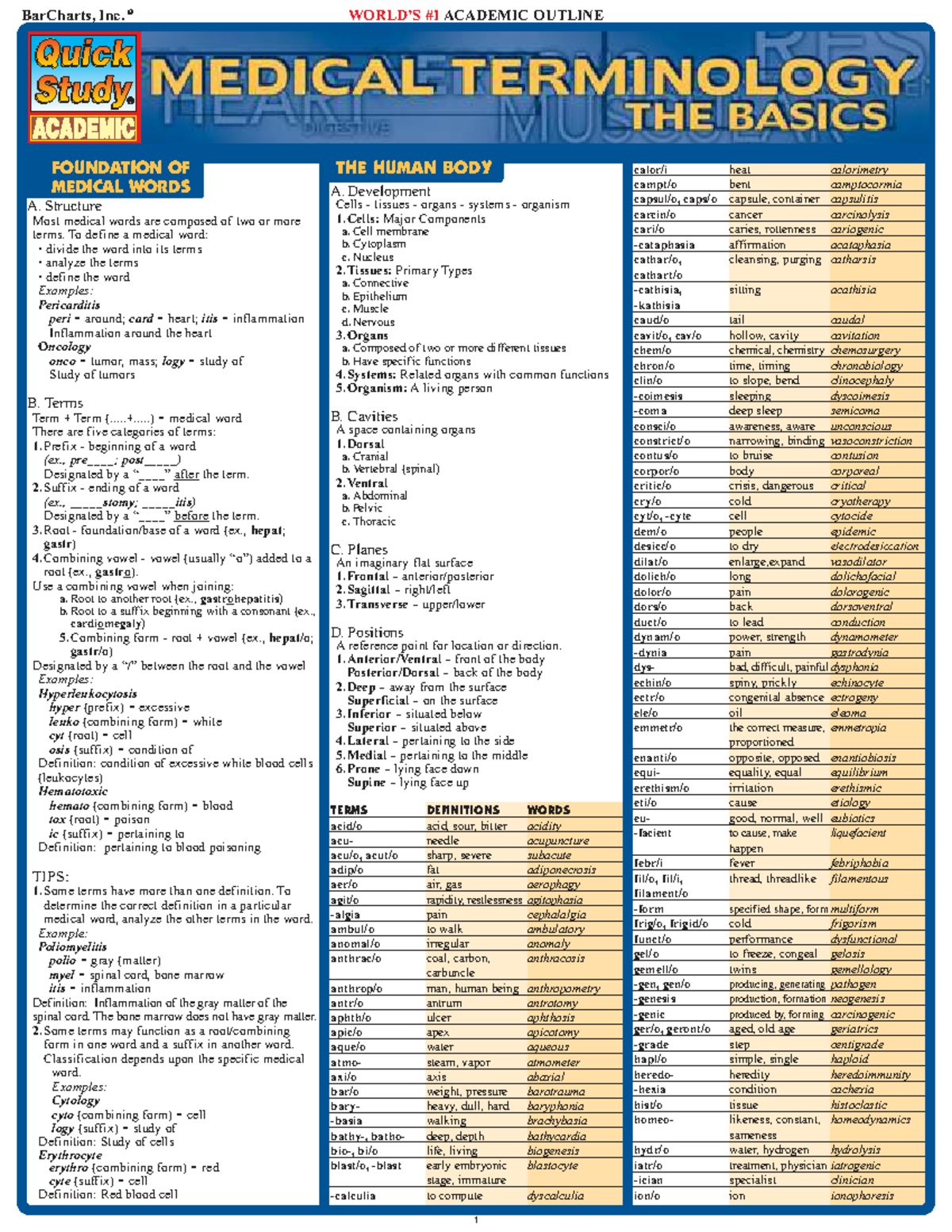 Quick Study: Medical Terminology Basics (MED 101) - Studocu