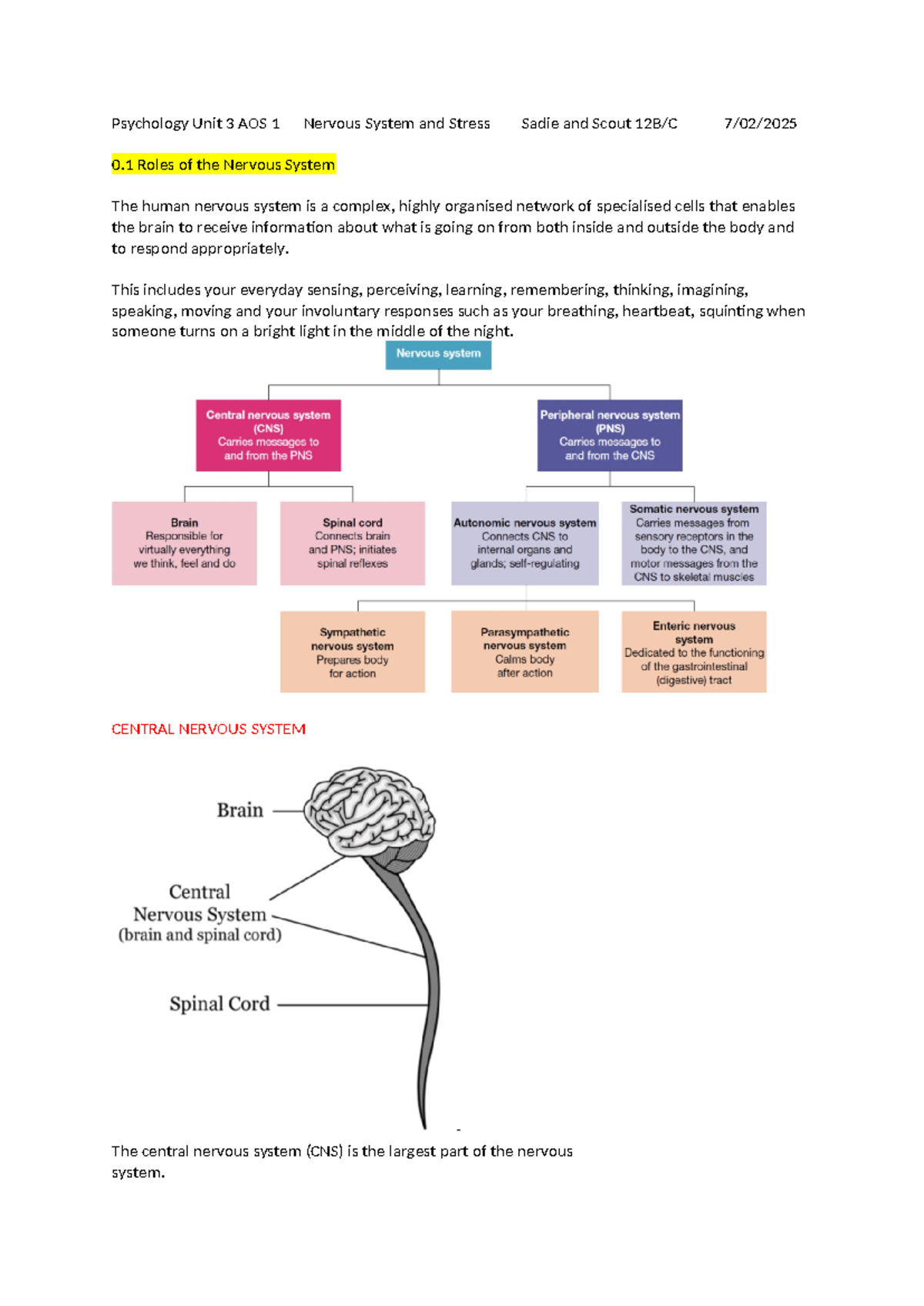 Psychology U3A1 Study Sheet - Psychology Unit 3 AOS 1 Nervous System ...