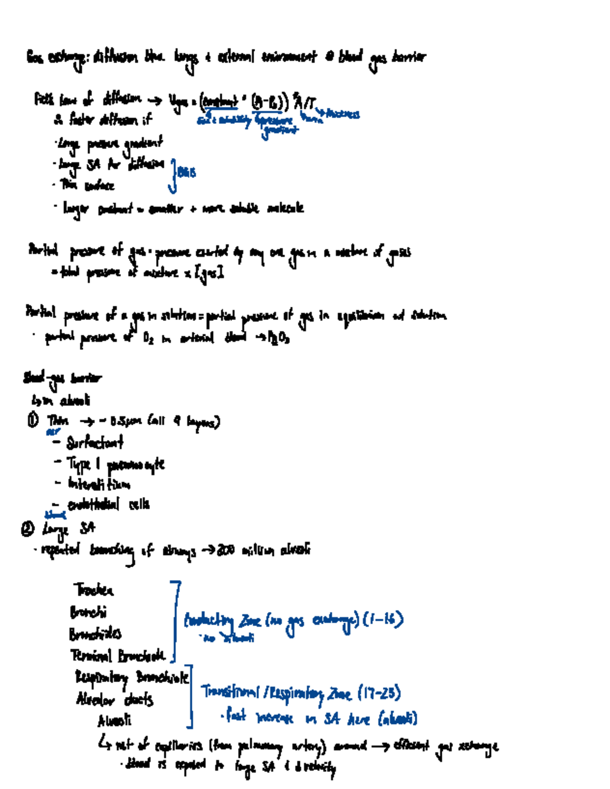 Respiratory System - Final Review Notes (Course Code: BIO 101) - Studocu