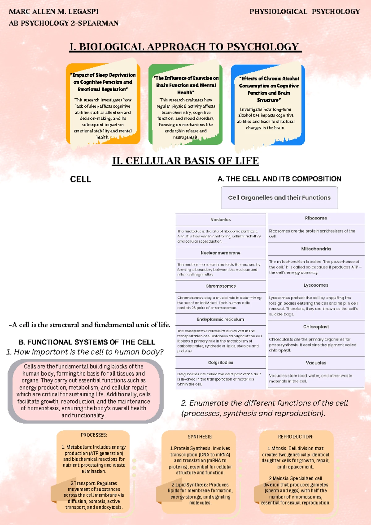Jose Rizal's Journey: Education, Achievements, and Civic Contributions ...