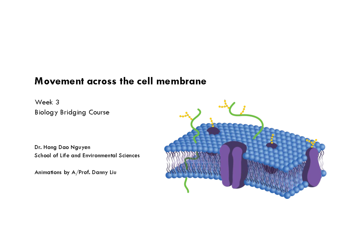 Biology 101: Lecture 3 - Cell Membrane Movement and Transport - Studocu
