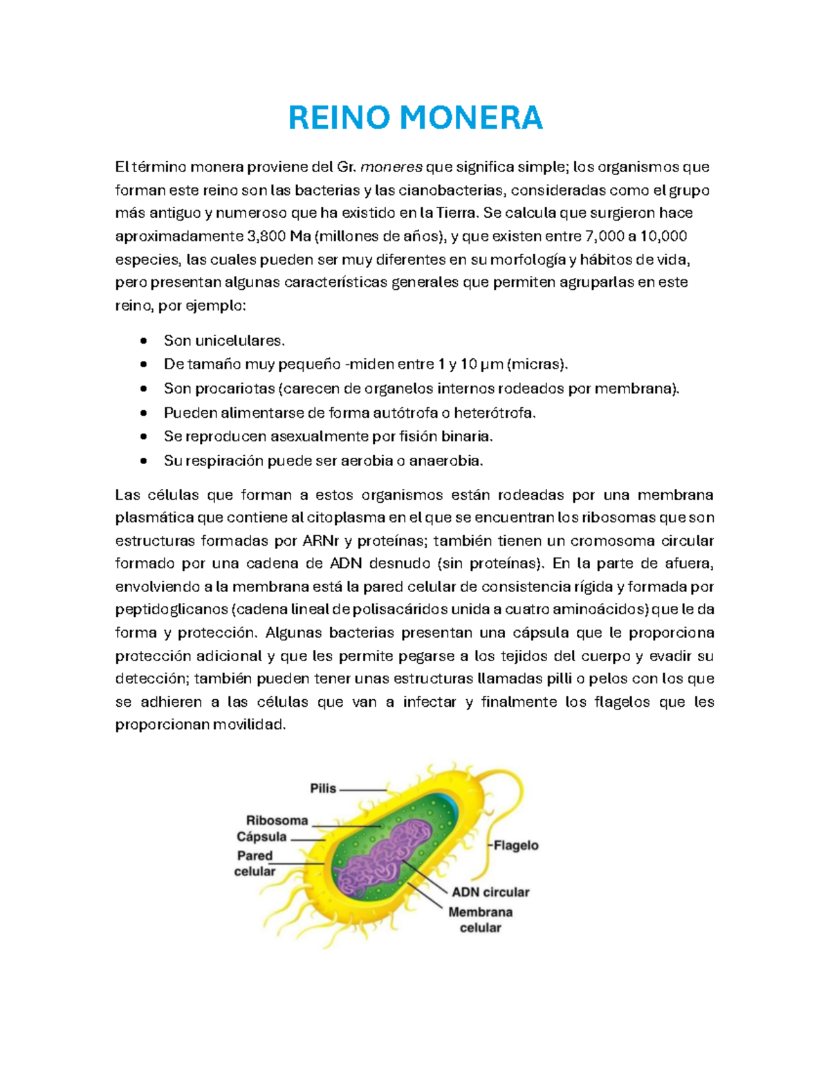 Reino Monera: Características y Clasificación de Organismos - Studocu