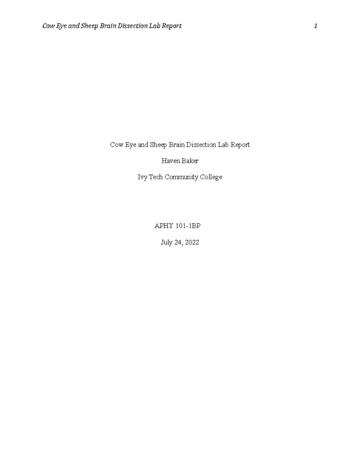Cow Eye & Sheep Brain Dissection Lab Report - APHY 101-1BP - Studocu