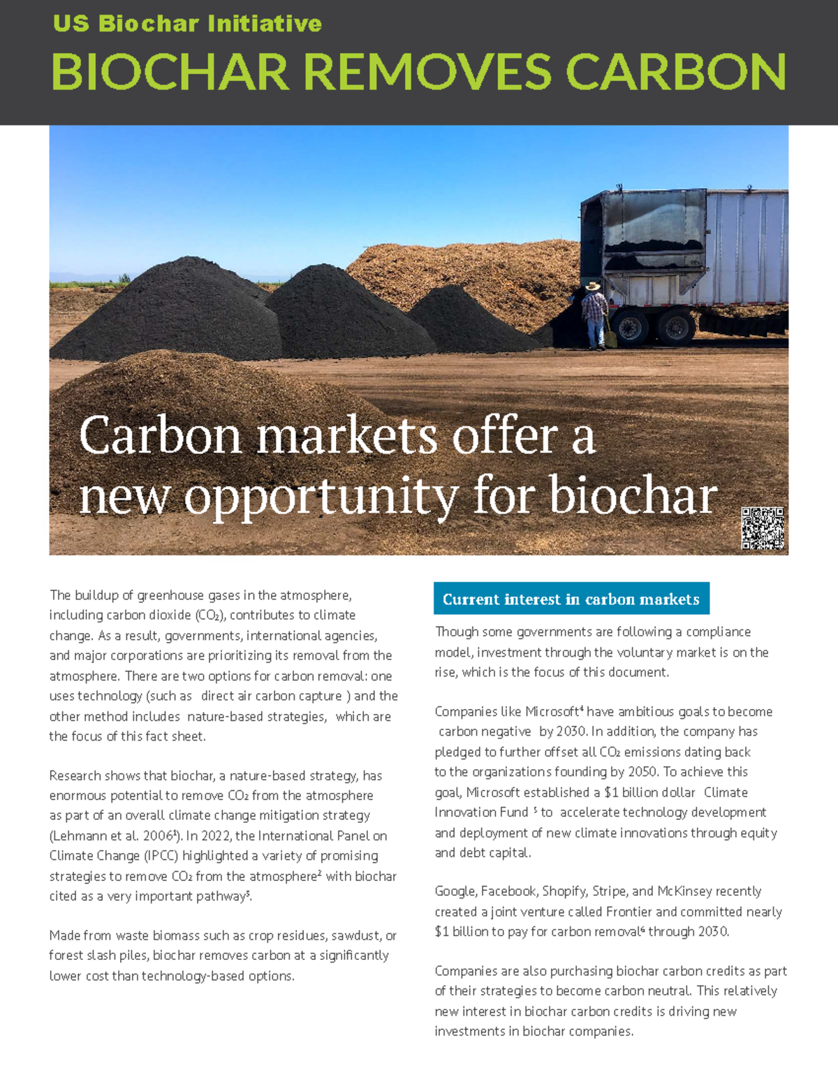 USBI DFB Carbon Factsheet: Biochar's Role in Carbon Markets - Studocu