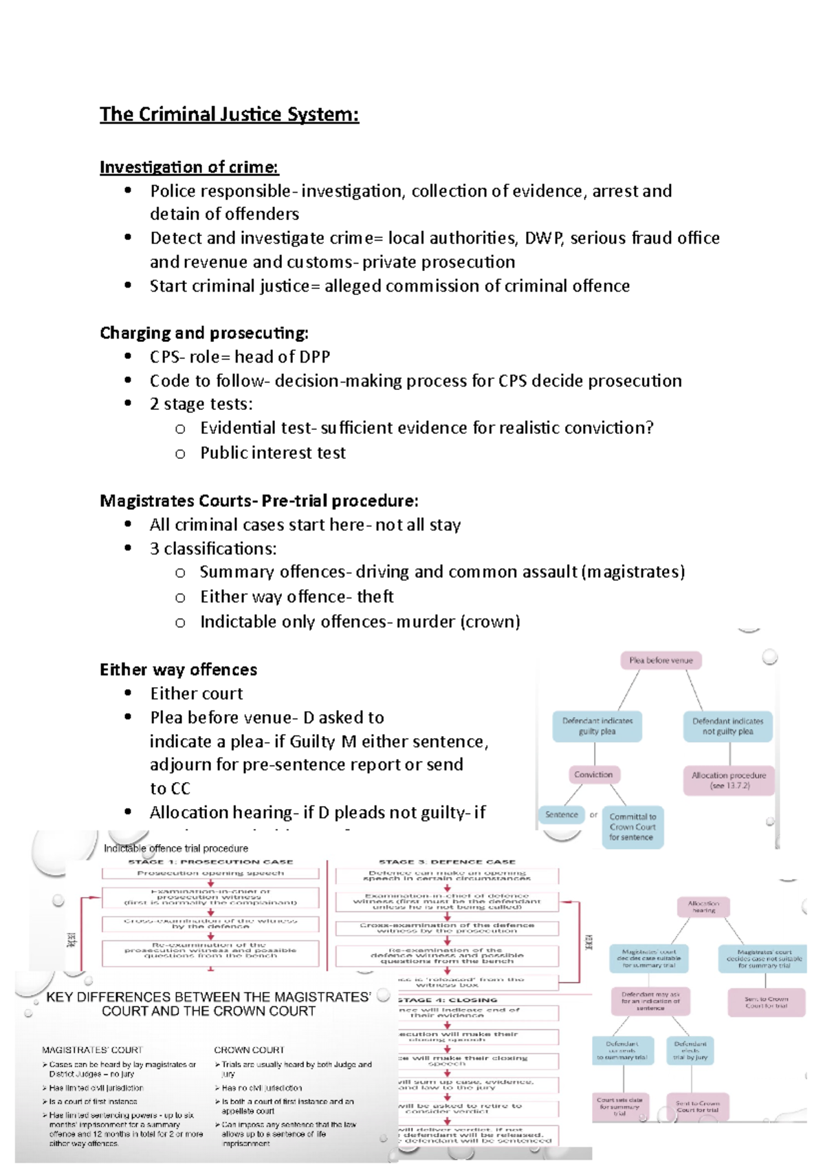 Lecture Notes- The Criminal Justice System - The Criminal Justice ...