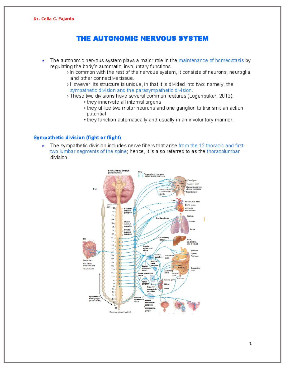 ANS 101 - Lecture on the Autonomic Nervous System - Studocu