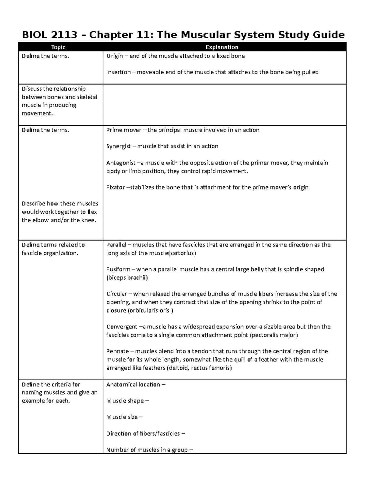 BIOL 2113 Chapter 13 Study Notes: Anatomy of the Nervous System - Studocu