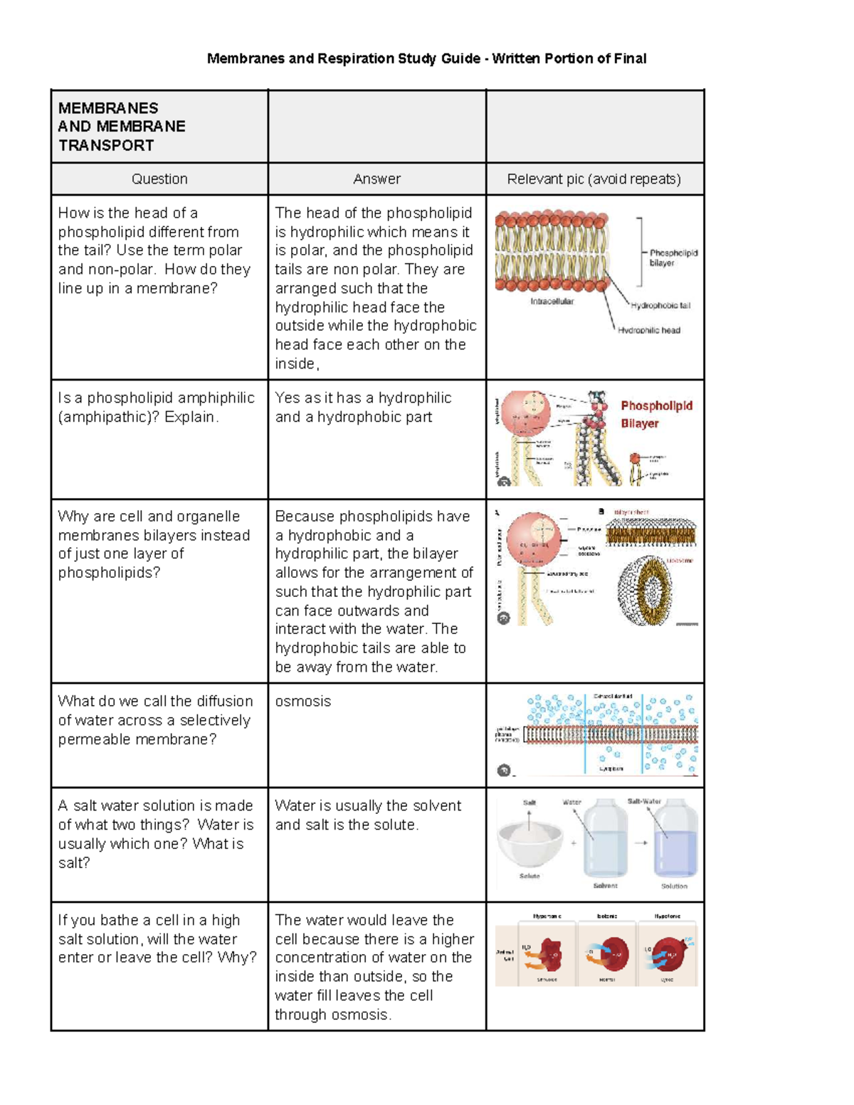 Membranes and Respiration Study Guide - Final Exam 2025 - Studocu