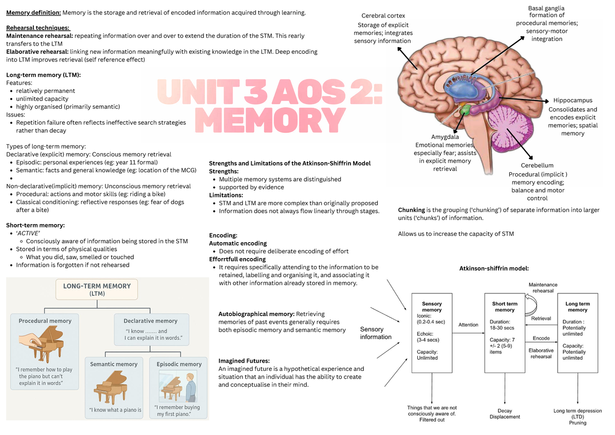 Unit 3 AOS 2 Memory: Definitions, Techniques, and Models Explained ...