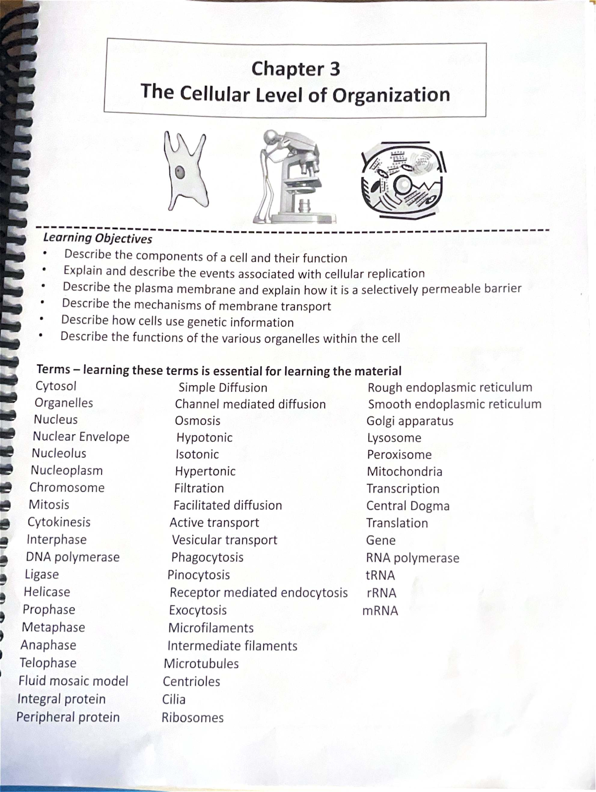 Final Exam Review Notes for BIO101: Cellular Organization - Studocu
