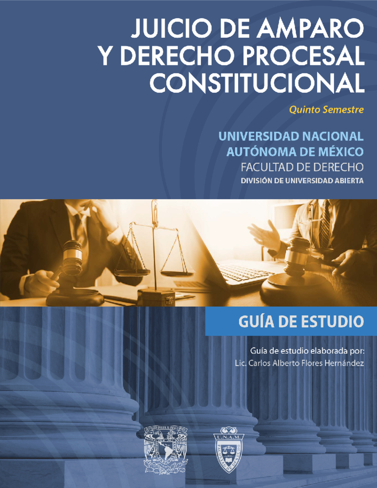 Guía de Estudio: Juicio de Amparo y Derecho Procesal Constitucional DPC ...