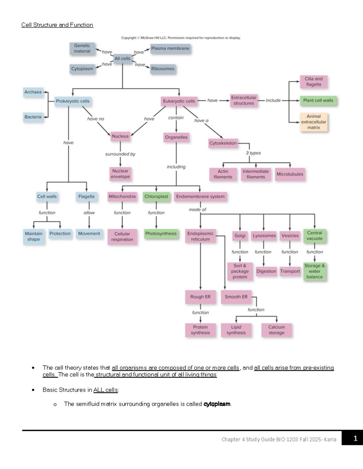 Chapter 4 Study Guide BIO 1203: Cell Structure and Function - Studocu