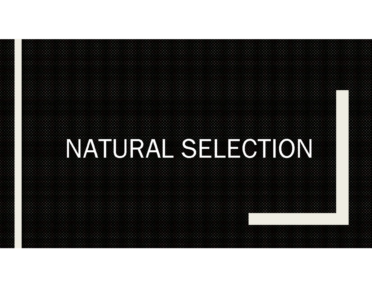 Natural Selection: Principles, Types & Impacts - BIO 101 Lecture Notes ...
