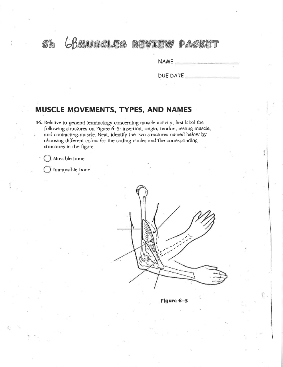 Muscle Movements Types And Names