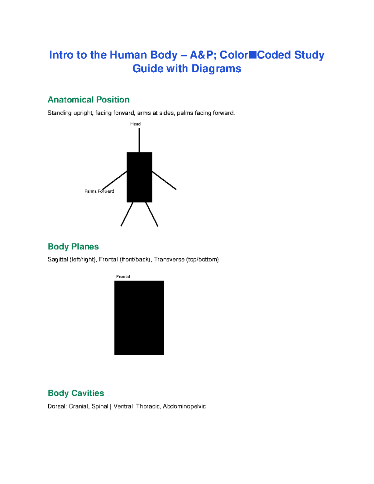 Intro to Human Body A&P Color Coded With Diagrams - NSG 124 - Intro to ...