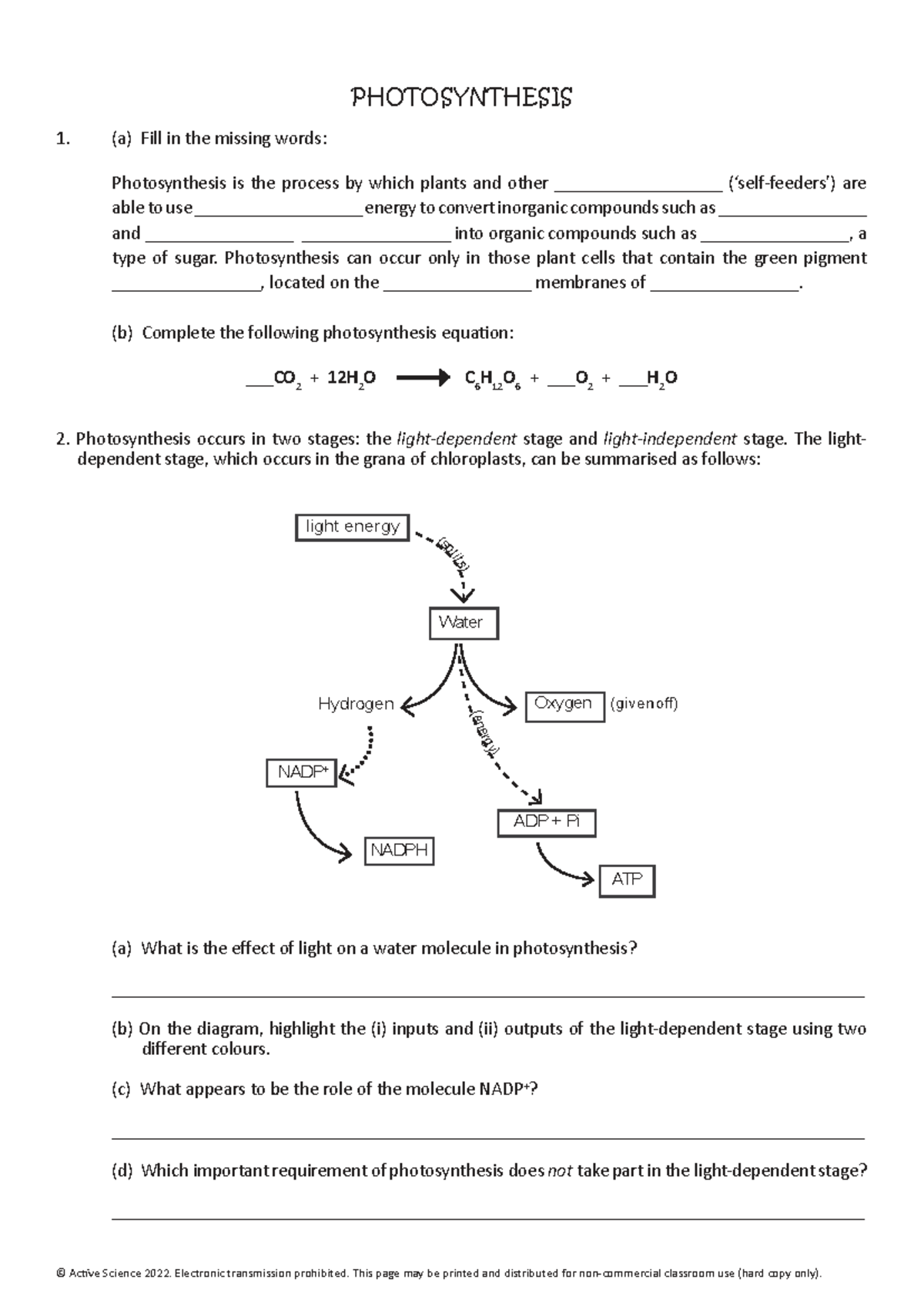 U3Ao S2 - Photosynthesis and Cellular Respiration Worksheets - Studocu