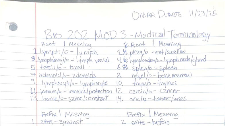 BIO 202 MOD 3 Medical Terminology: Root, Prefix, and Suffix Meanings ...