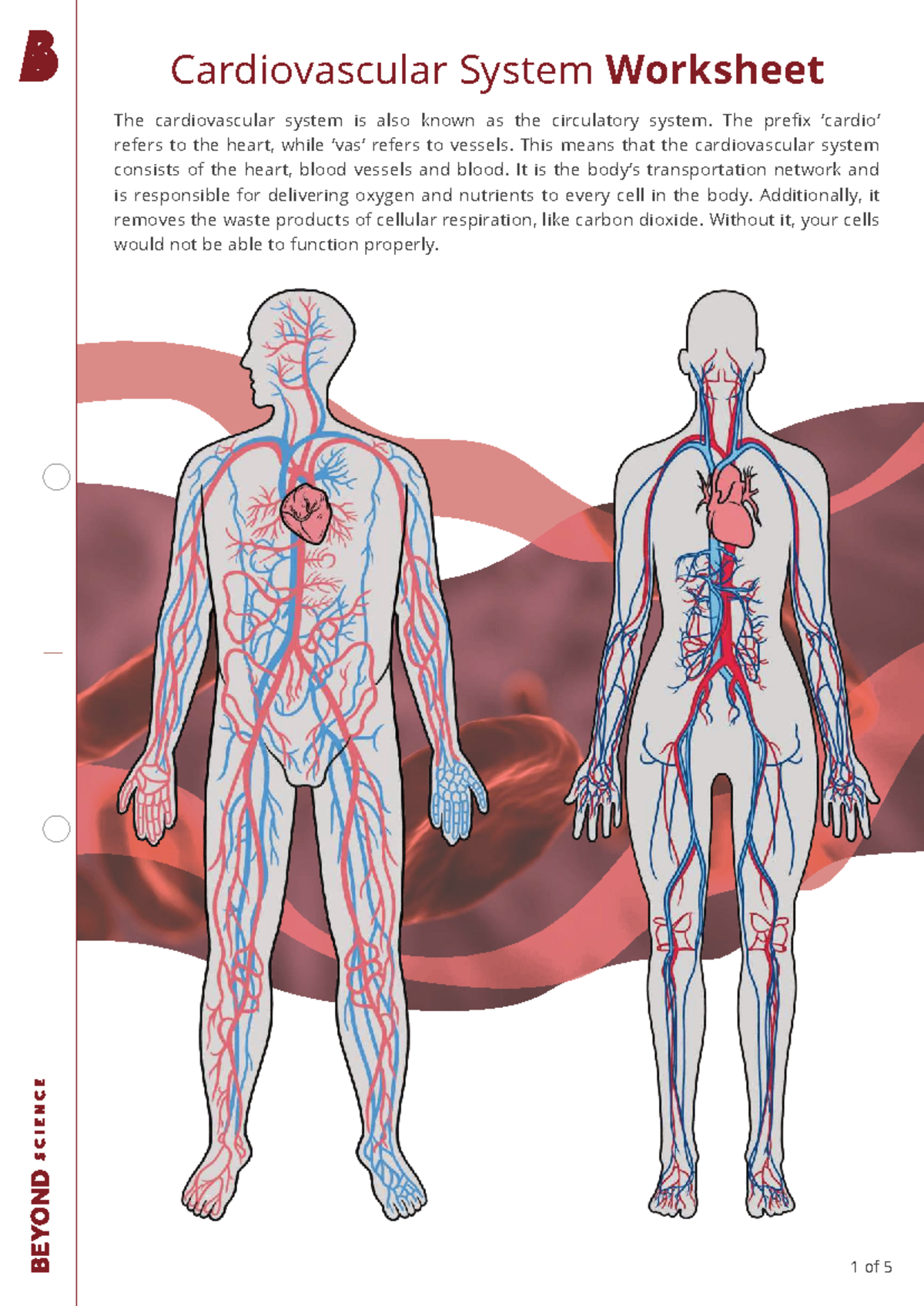 Healthy Heart Experiment Worksheet