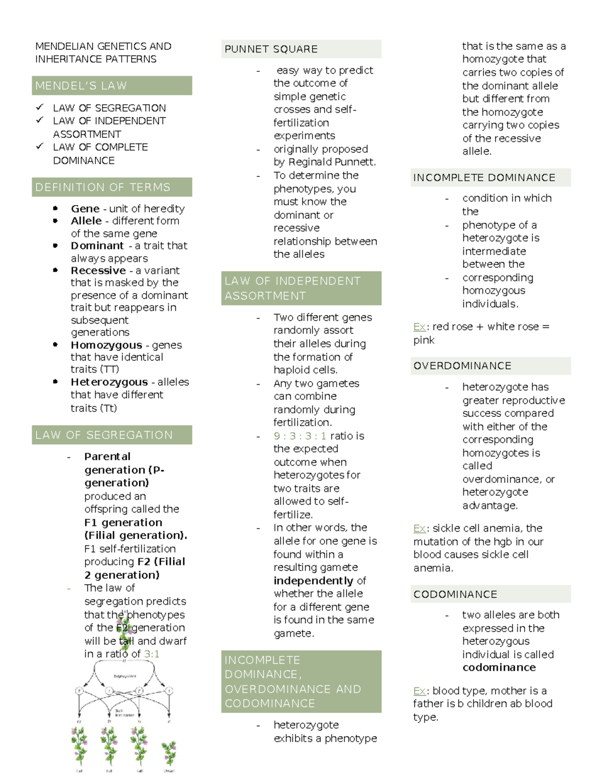Mendelian Genetics AND Inheritance Patterns midterm - MENDELIAN ...