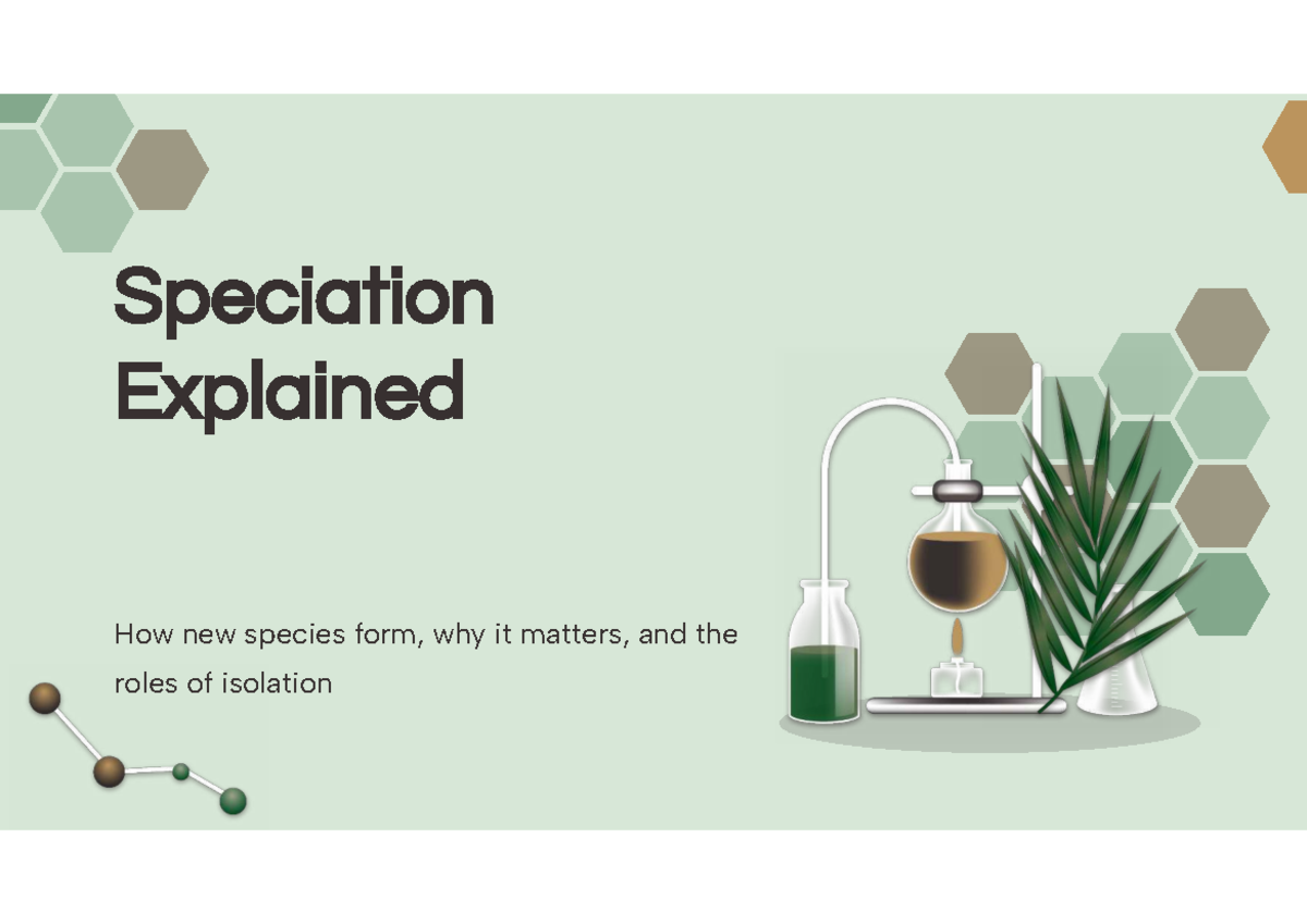 Speciation Explained: How New Species Form and Their Importance - Studocu