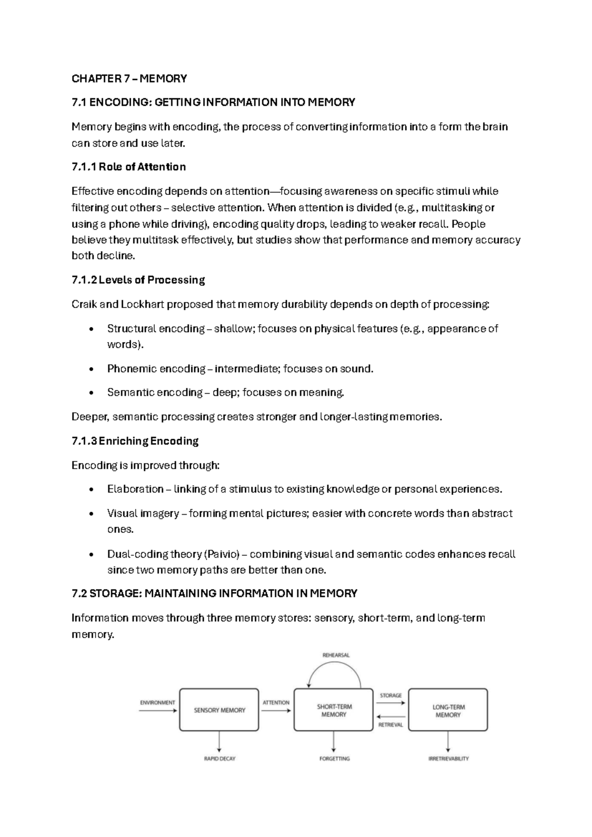 SLK 120 Chapter 7: Memory Encoding, Storage, and Forgetting - Studocu