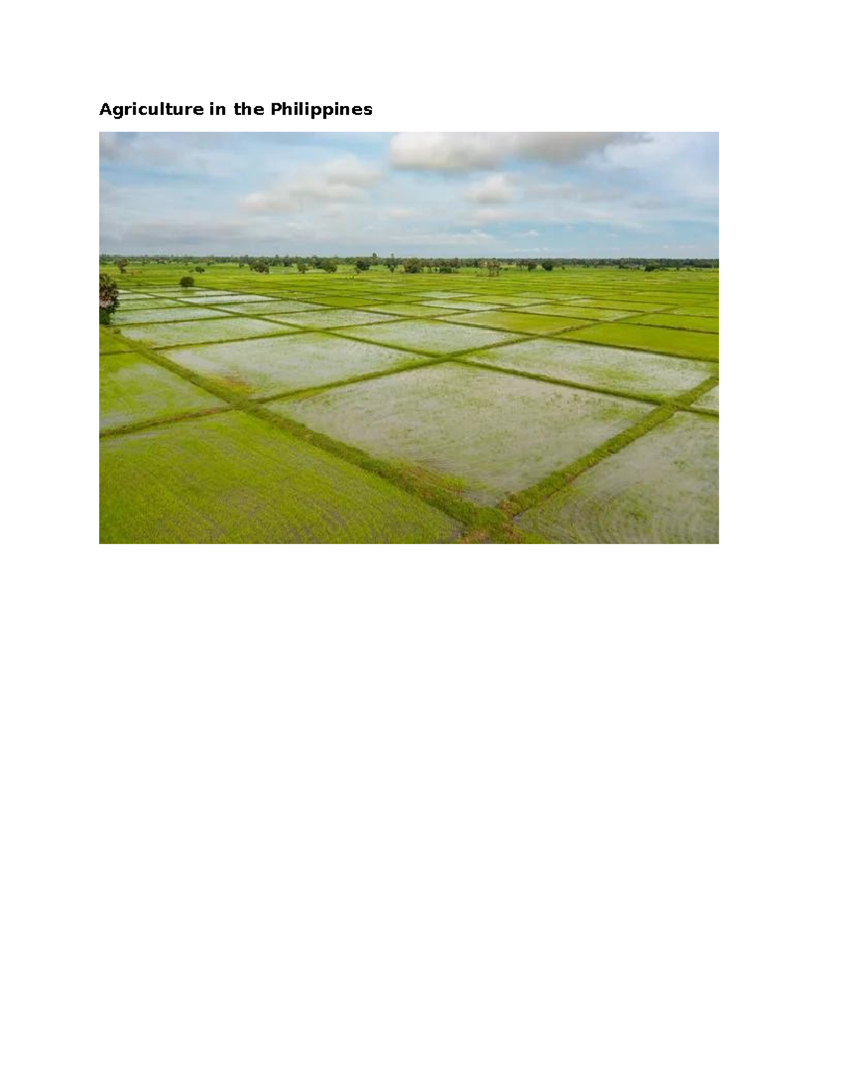 Agriculture in the Philippines: Key Crops and Challenges - Studocu