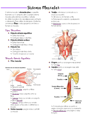 fases do puerpério, dequitação e loquiação. Hemorragia puerperal e ...