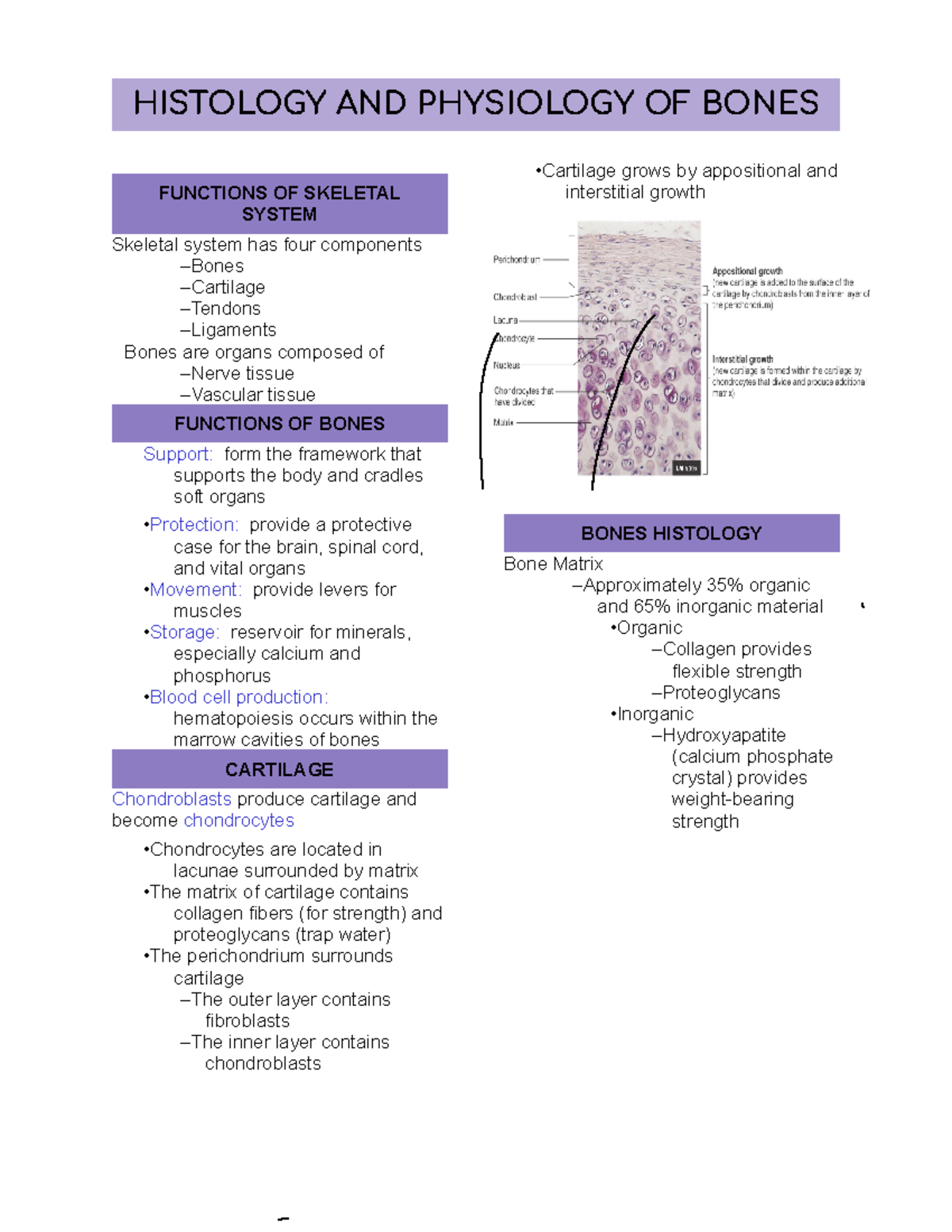 Histology-OF- Bones - Reviewer niyoooo - FUNCTIONS OF SKELETAL SYSTEM ...