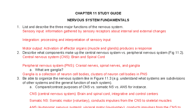 F25 NEURONS STUDY GUIDE: NERVOUS SYSTEM FUNDAMENTALS - Studocu