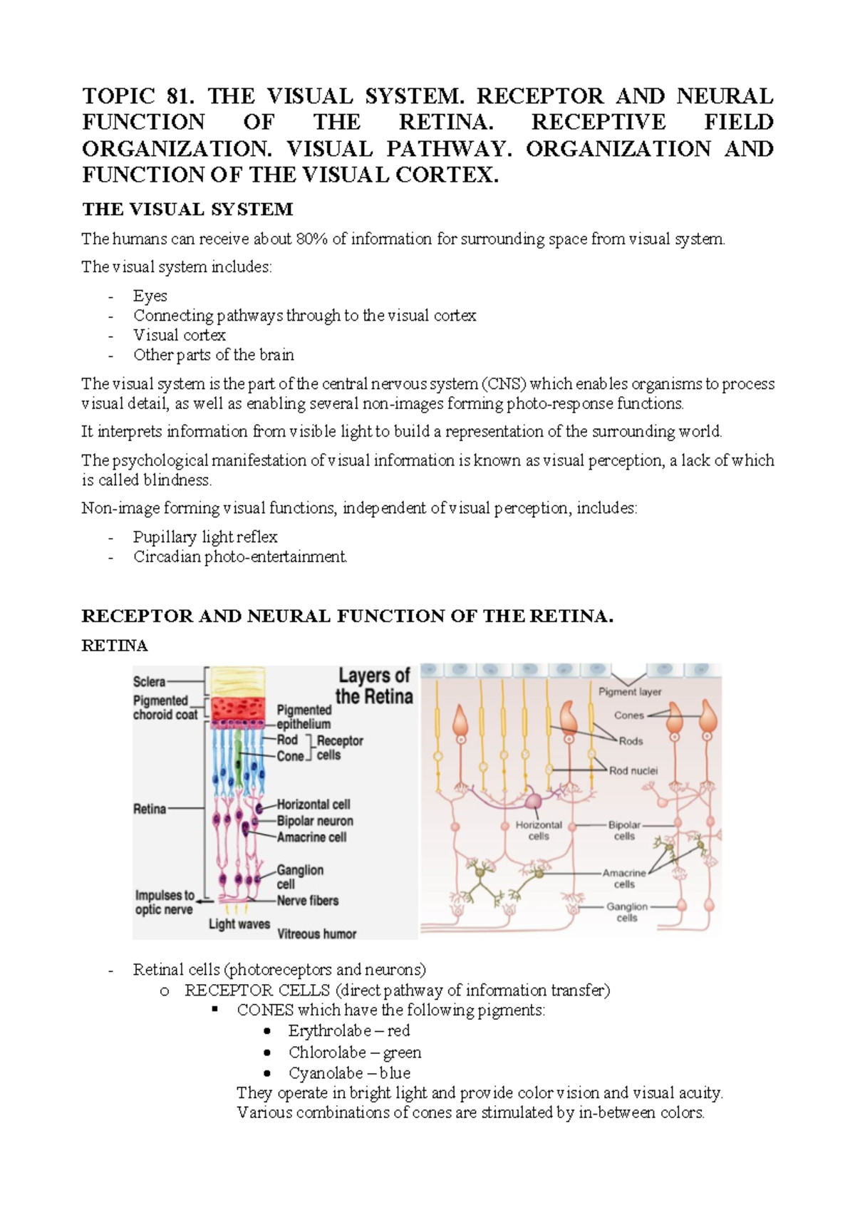 Topic 81: Neural & Receptor Functions of the Retina in Vision System ...