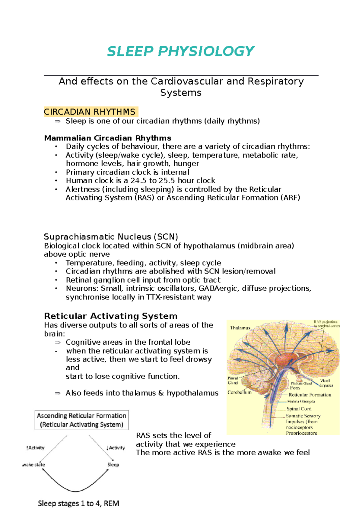 Sleep Physiology - Lecture Notes 1: Cardiovascular & Respiratory ...