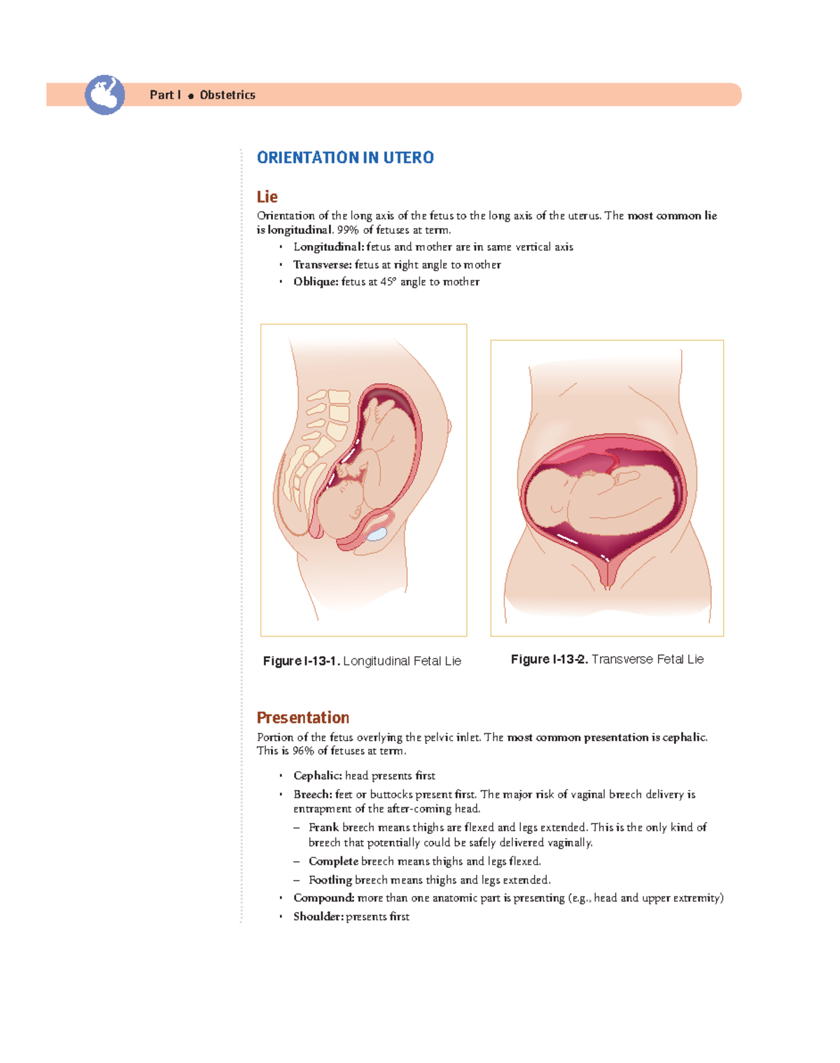 Cephalic Longitudinal