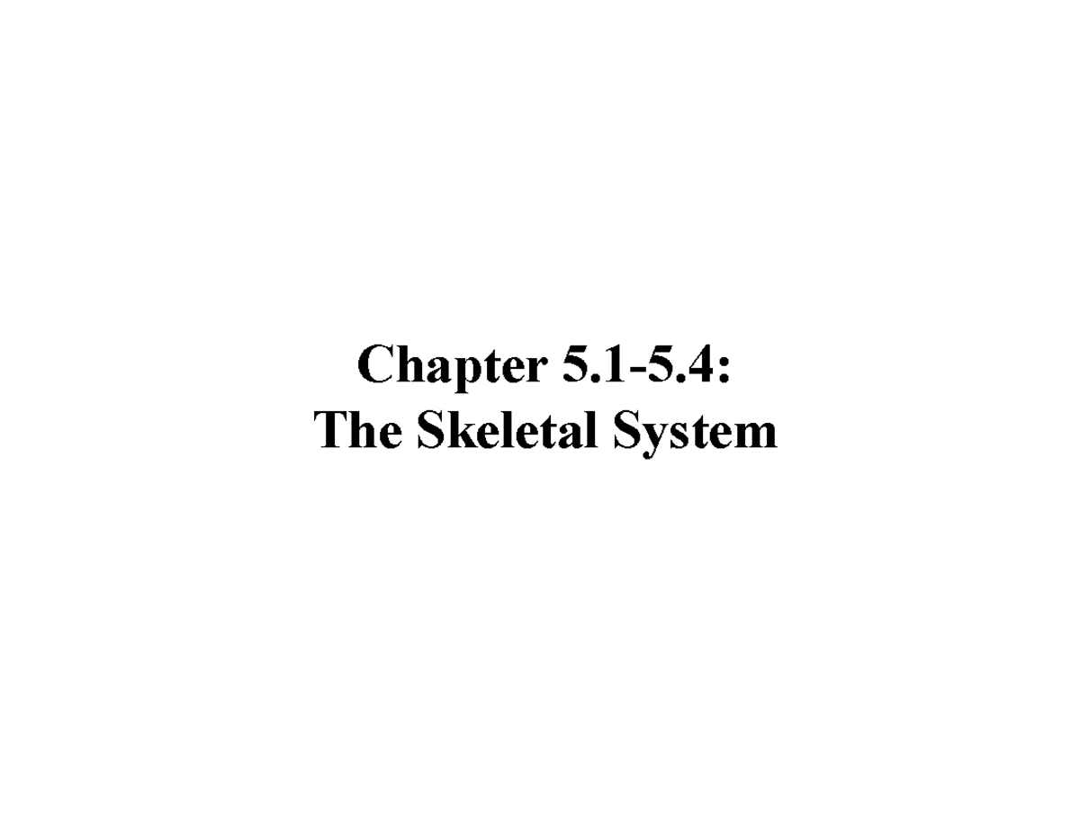 Chapter 5.1-5.4: The Skeletal System Overview and Functions - Studocu