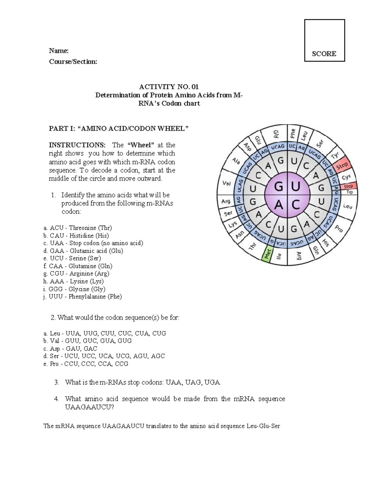 Protein Amino Acids & Codon Decoding Worksheet (ACTIVITY NO. 01) - Studocu