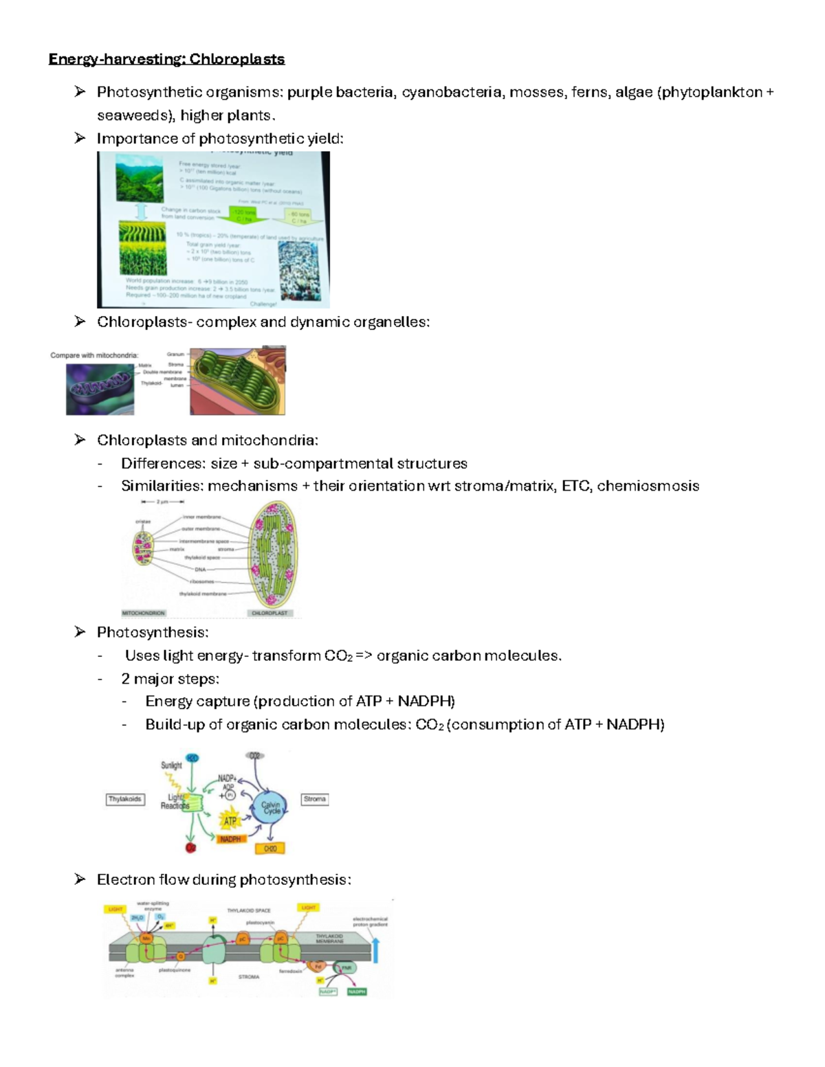 Lecture on Energy-Harvesting: Chloroplasts and Photosynthesis - Studocu