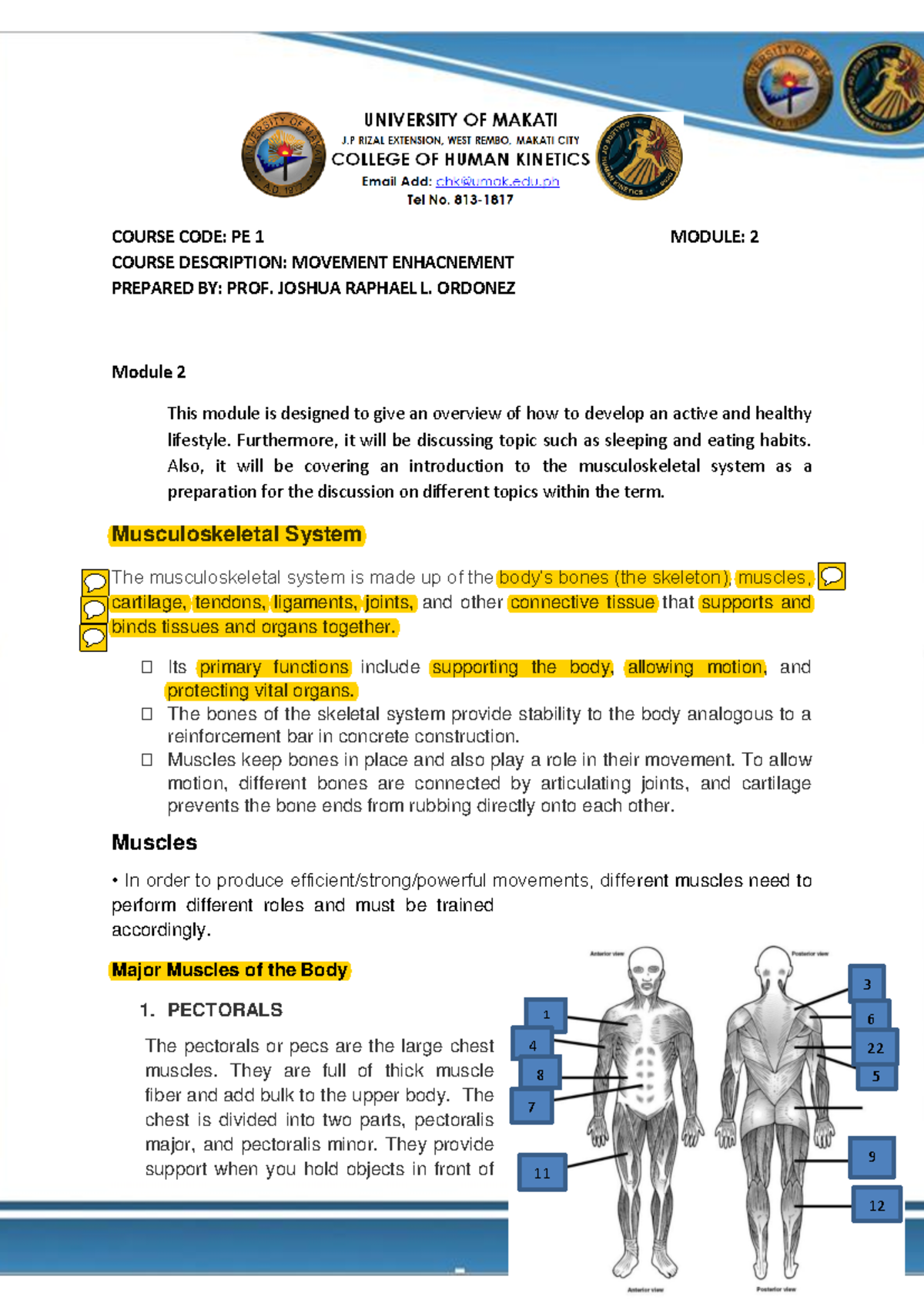 Module 2 Muscle and Skeletal System - COURSE CODE: PE 1 COURSE ...