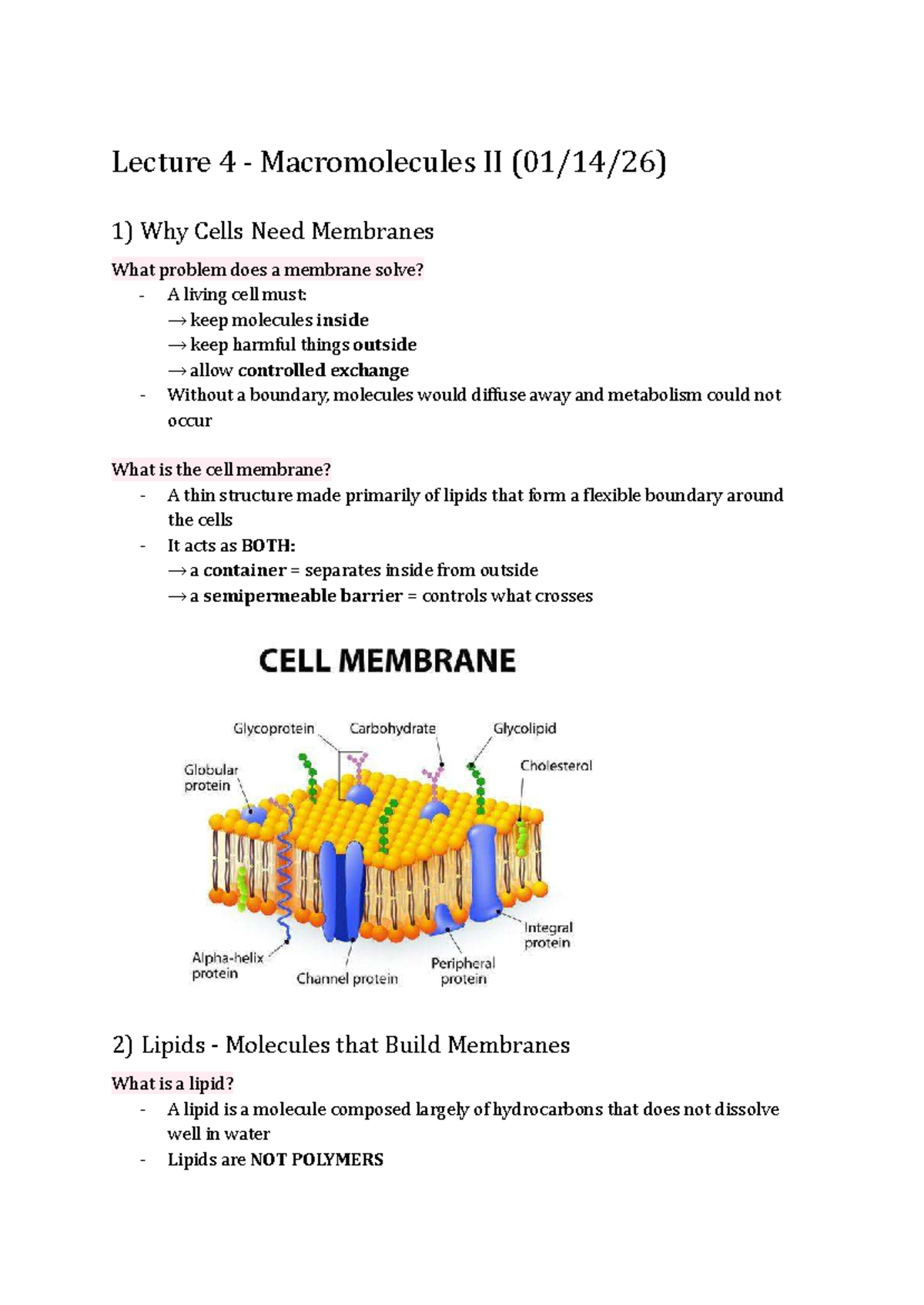 Unit 2 - Lecture 4: Understanding Cell Membranes and Lipids - Studocu