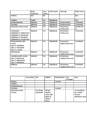BIOL 1030 - Lab 1 Assignment - Phylogenetic tree - Phylogenetic Tree ...